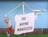 The Wayne Manifesto