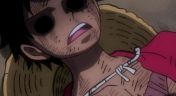 179. Luffy Is Defeated?! The Determination of Those Left Behind