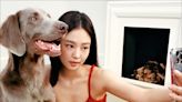 Jennie Throws a High-Fashion Holiday Party for Pets in Jacquemus' New Campaign