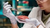 Why states are suddenly making it a crime to sell lab-grown meat