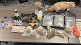 Teen found with more than five pounds of marijuana in Ashe County, charged: Sheriff