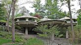 Trippy! You Can Rent This Hobbit-Esque 'Mushroom House' in New York for $5,500 a Month