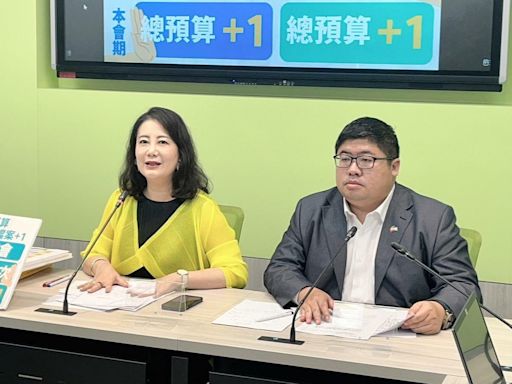 軍公教調薪3%遭藍白擋下 民進黨團怒斥：不審預算就是瀆職