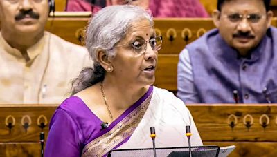 Sitharaman's final budget is unruffled by the 2024 election results