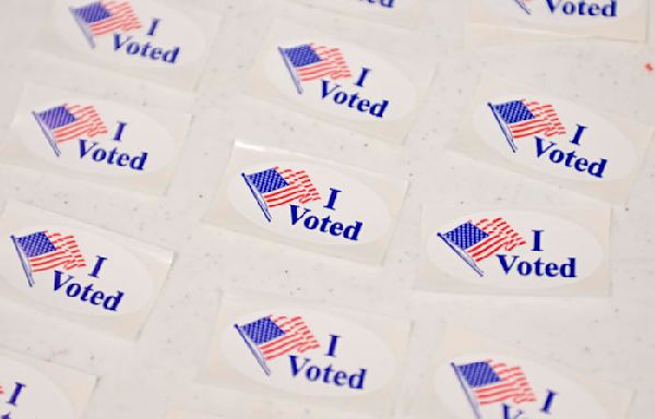 Michigan 2024 Primary Election: What to know about early voting, election day on Aug. 6