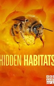 Hidden Habitats