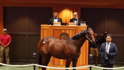 Kentucky Derby Betting Angles presented by FanDuel: Homebreds vs. Auction Purchases