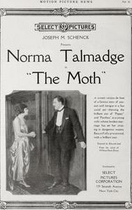 The Moth