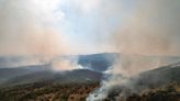 Greece wildfire destroys area bigger than New York City