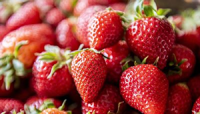 Martes de frescura en Walmart: ofertas en frutas, verduras y más 14 de mayo 2024