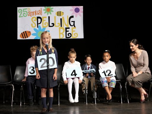 How has the spelling bee become cool?