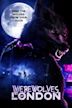 Werewolves of London | Horror