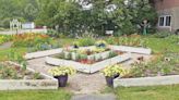 Cornell Cooperative seeks Master Gardeners Volunteers