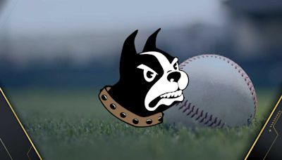 Wofford baseball team wins NCAA tournament game for first time in program history