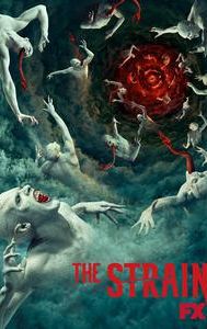 The Strain