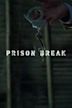 Prison Break: Proof of Innocence