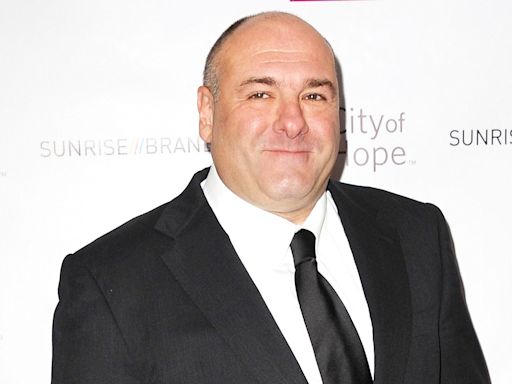 Former HBO Exec Says James Gandolfini Dared Him to ‘Fire’ the Actor from 'The Sopranos' After Staged Intervention