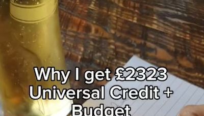 Trolls slam mum on universal credit for getting '£35k salary' & exemptions