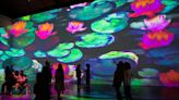 If you liked 'Immersive Van Gogh,' here's how to see the next big art show in Phoenix