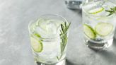 Want To Enjoy a Gin and Tonic Without the Hangover? Here Are 16 Dry Gins up for the Task