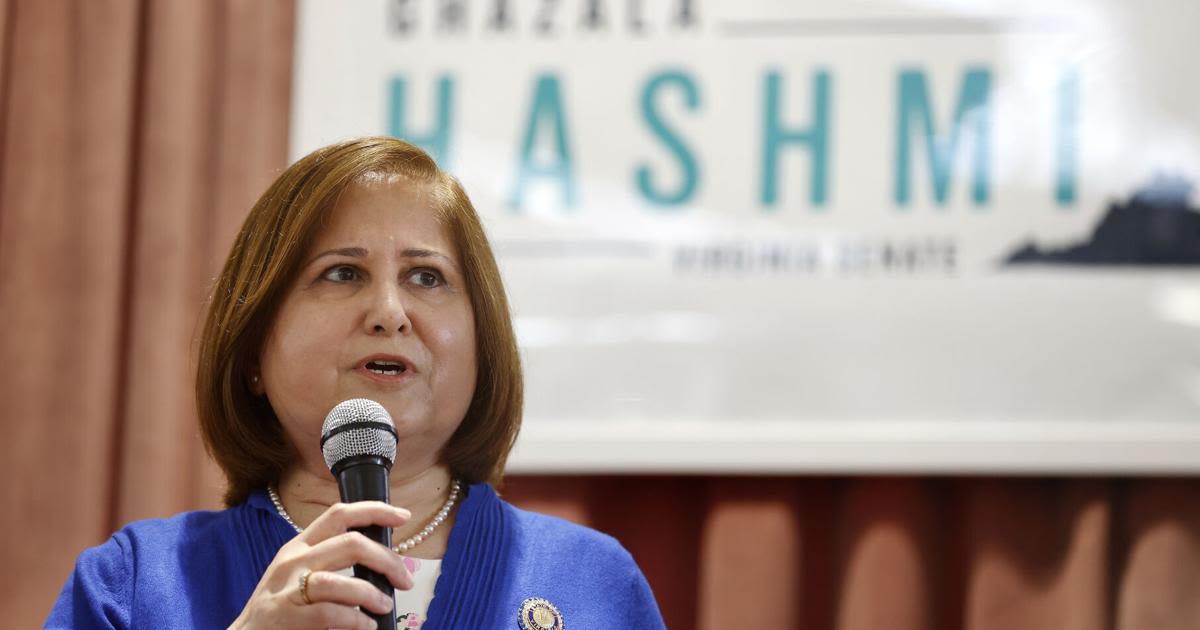 Hashmi enters lieutenant governor contest as 'progressive champion'