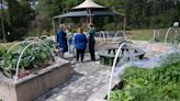 UWF's Community Garden to showcase interactive roots with 'Music in the Garden'