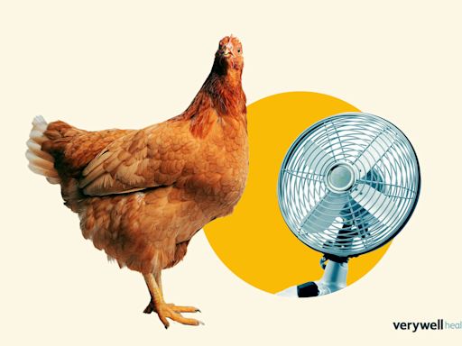 Is Extreme Heat Helping to Spread Bird Flu?