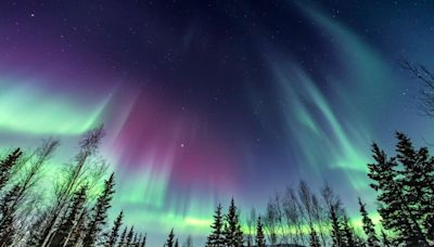 See the Northern Lights on Every Princess Cruise to Alaska in 2024