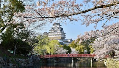 日本姬路城門票擬採雙軌制 非市民參觀較貴