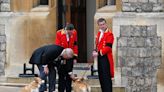 Los corgis y el caballo de la reina Isabel también participan en el adiós a la soberana