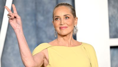 Sharon Stone revela que perdió $18 millones de dólares tras sufrir un derrame cerebral - El Diario NY