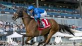 Godolphin plunders American turf stakes; Kentucky Derby chase starts in weekend racing