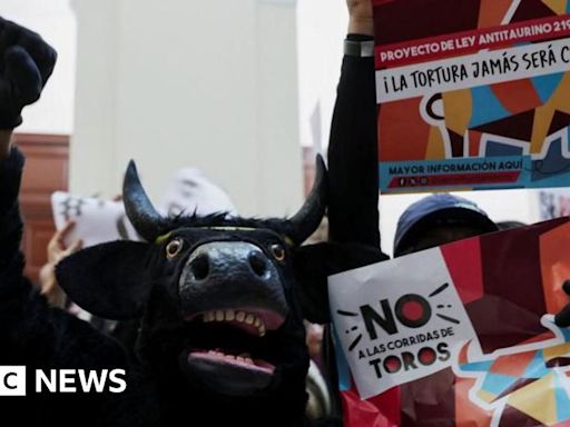 Colombian Congress votes to ban bullfighting