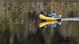 Kitsap Lake access closed due to potentially toxic algae bloom