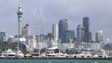 New Zealand’s Manufacturing Sector Remains in Contraction