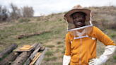 Meet Dr. Sammy, the Colorado researcher trying to fend off the next honeybee pandemic