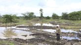 Kenya's dramatic flooding sweeps away a central part of the economy: Its farms