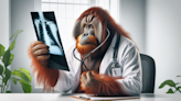 Paging Dr. Zaius: wild orangutan treats own wound