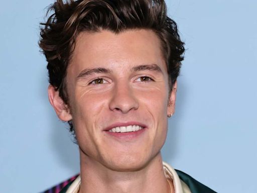 Shawn Mendes Sets Pulses Racing With Steamy Shower Shots