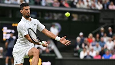 Novak Djokovic shrugs off injury fears to reach Wimbledon second round