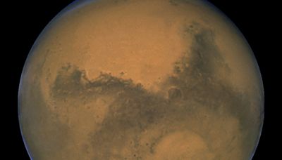 Chinese scientists discover Mars-ready super-resilient moss