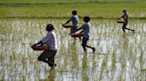 Profit-taking hits fertiliser stocks despite proposal on GST exemption