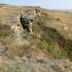 Head-Smashed-In Buffalo Jump