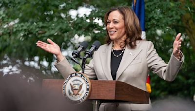 Who Will Kamala Harris Choose As Her VP? Top Contenders For The US Elections 2024