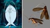 New cockroach species in Singapore named after 7th gen Pokémon Pheromosa