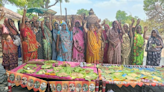 Rajasthan tribal movement sowing indigenous seeds hopes to reap a harvest of resilience