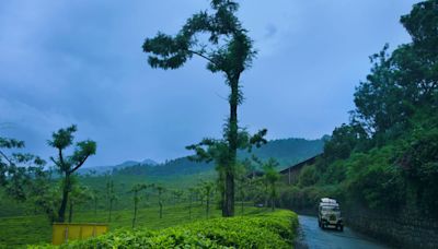 6 Best Places To Visit In Kerala During The Monsoon