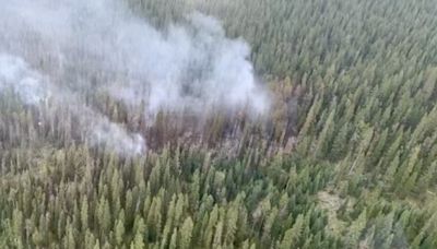 Wildfire out of control in Calgary Forest Area as risk climbs to 'extreme'