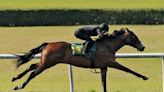 Instagrand Filly Works Fastest Quarter at OBS Day 4