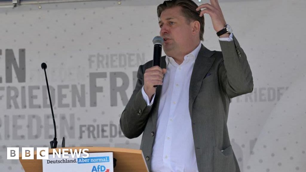 German and French far-right split over Nazi remarks